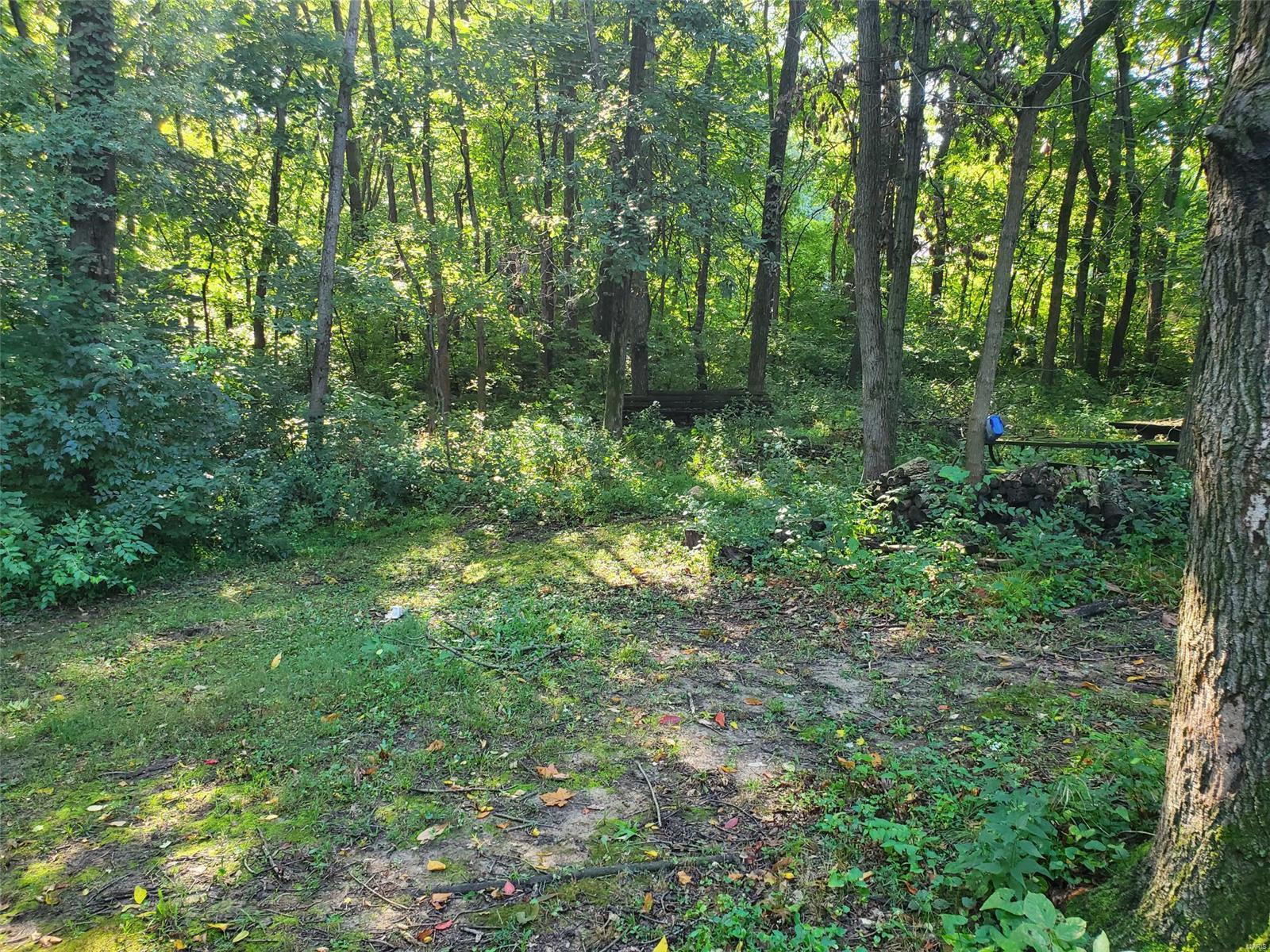 20504 Emerald Road Carlyle, IL 62231 - Photo 3 of 21