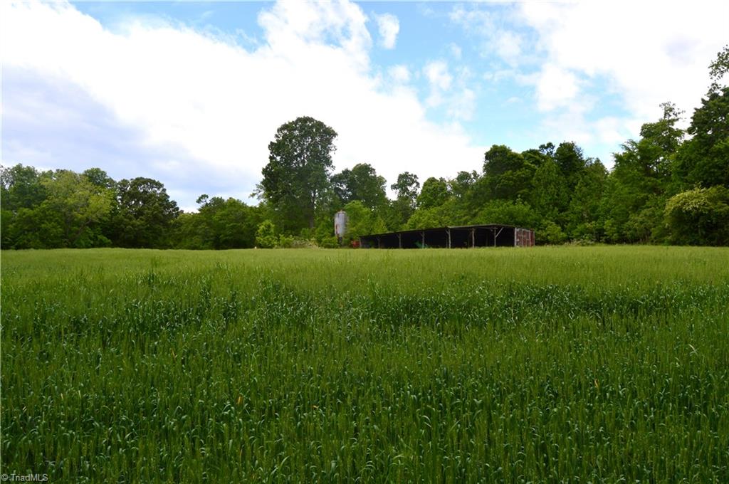 0 Wyatt Road Mebane, NC 27302 - Photo 12 of 39 Gallery Image 12