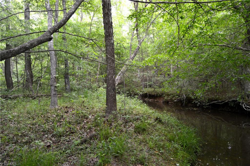0 Wyatt Road Mebane, NC 27302 - Photo 18 of 39 Gallery Image 18