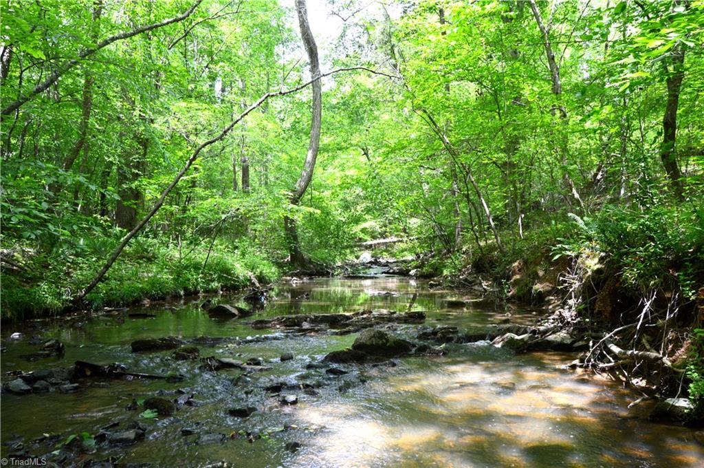 0 Wyatt Road Mebane, NC 27302 - Photo 21 of 39 Gallery Image 21