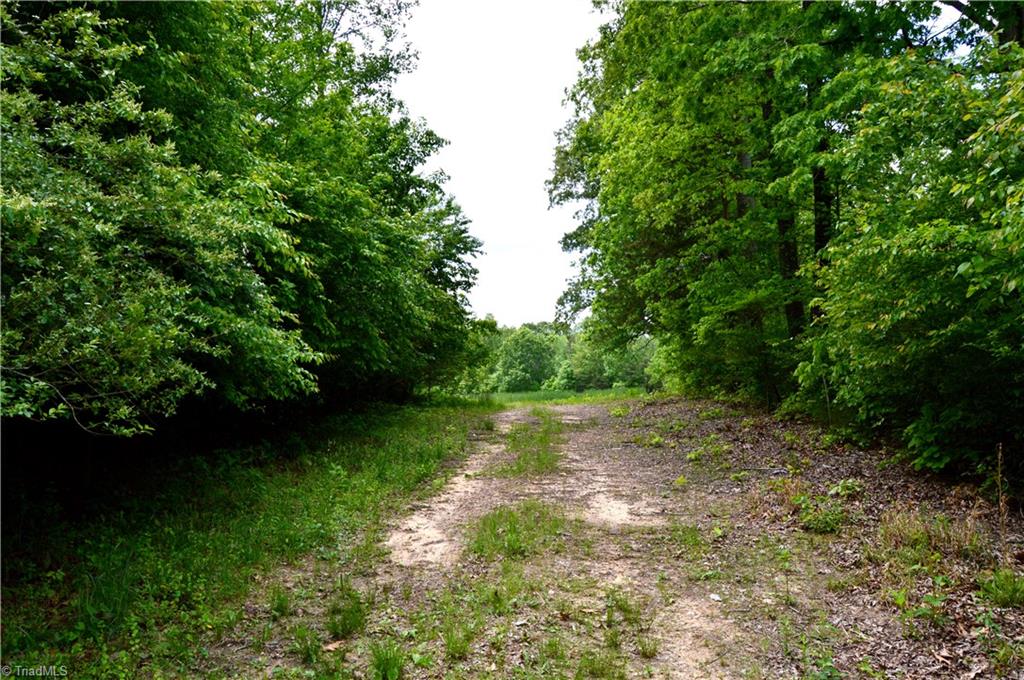 0 Wyatt Road Mebane, NC 27302 - Photo 26 of 39 Gallery Image 26