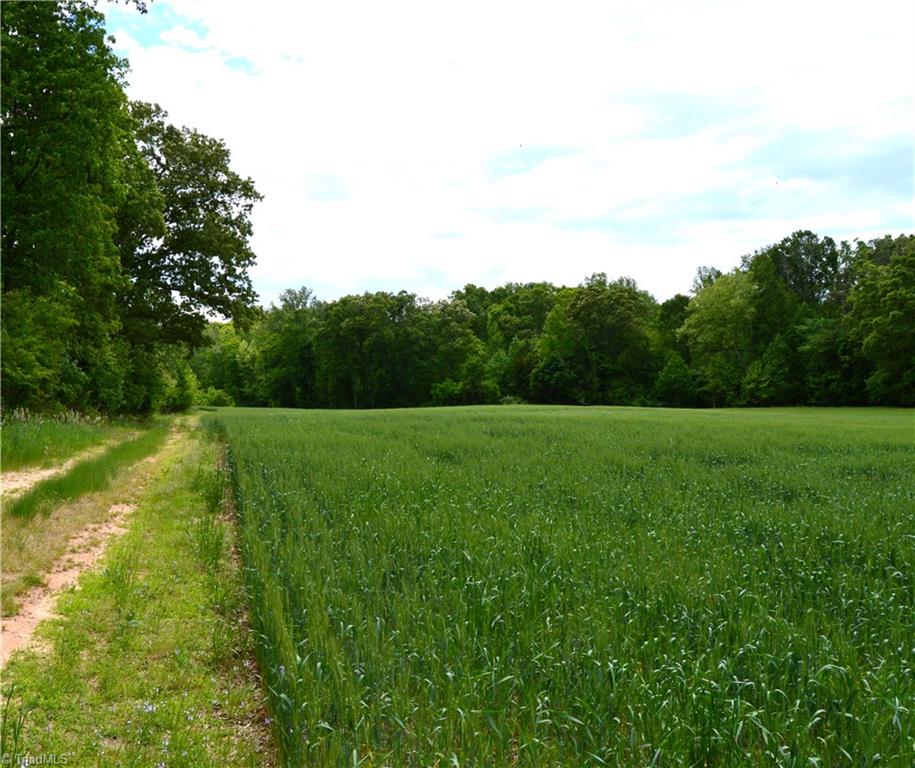 0 Wyatt Road Mebane, NC 27302 - Photo 27 of 39 Gallery Image 27