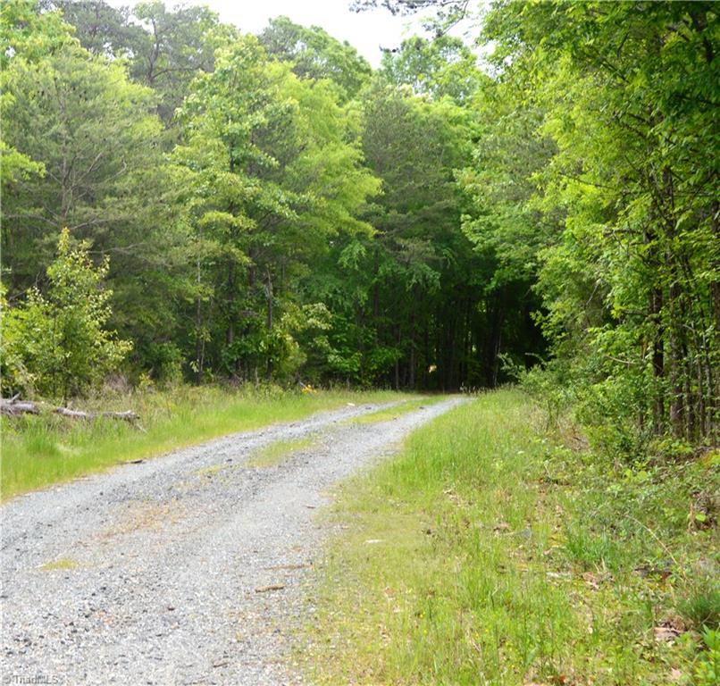 0 Wyatt Road Mebane, NC 27302 - Photo 5 of 39 Gallery Image 5