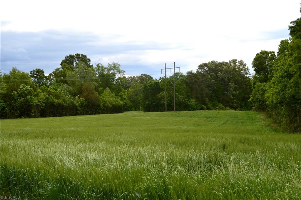 0 Wyatt Road Mebane, NC 27302 - Photo 8 of 39 Gallery Image 8