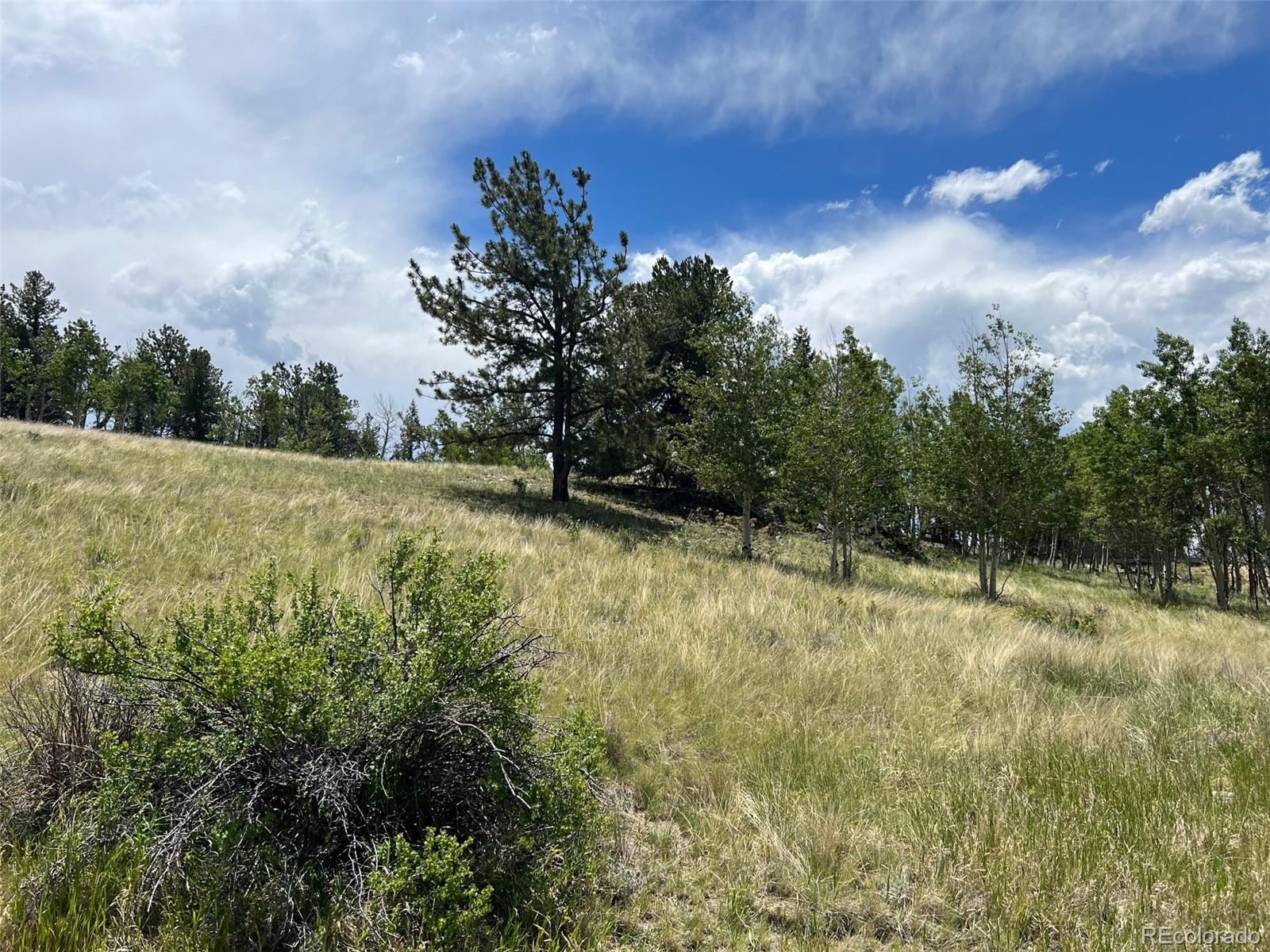 338 Topaz Road Lake George, CO 80827 - Photo 1 of 15 Gallery Image 1