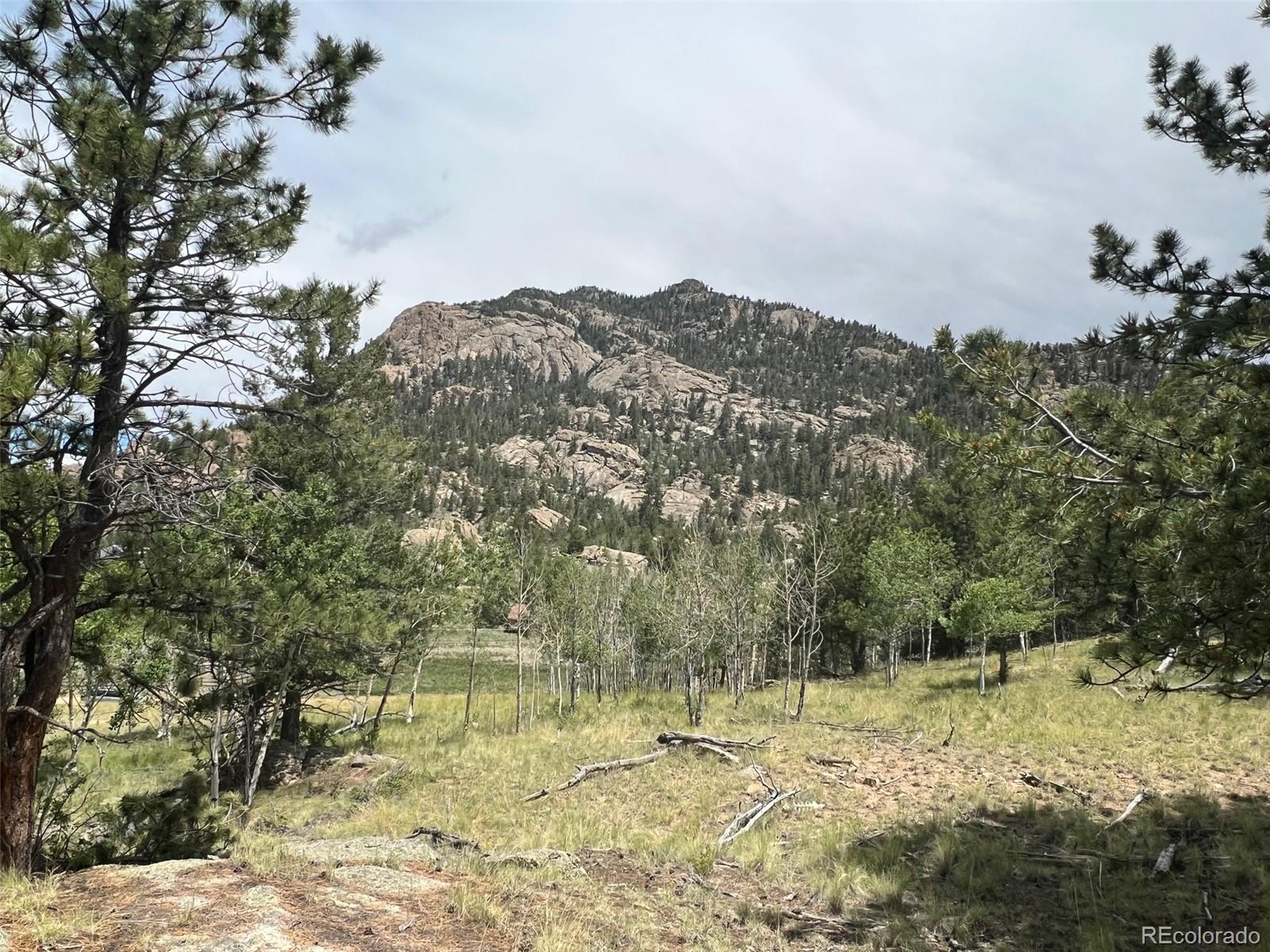 338 Topaz Road Lake George, CO 80827 - Photo 11 of 15 Gallery Image 11