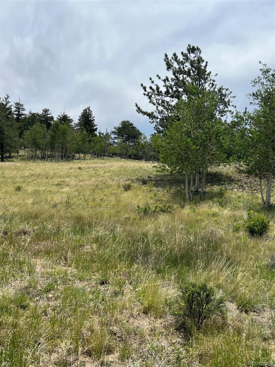 338 Topaz Road Lake George, CO 80827 - Photo 15 of 15 Gallery Image 15