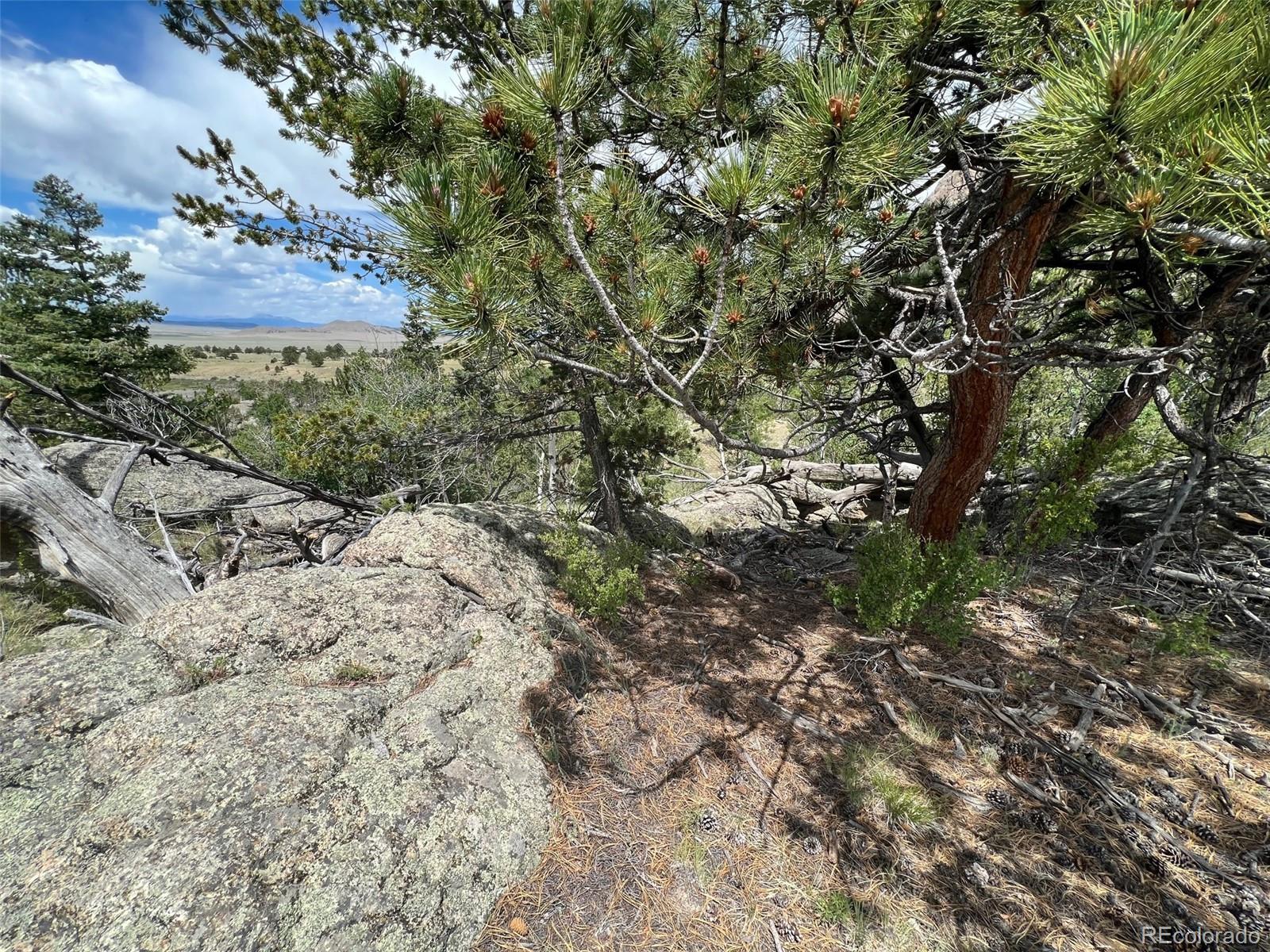 338 Topaz Road Lake George, CO 80827 - Photo 9 of 15 Gallery Image 9