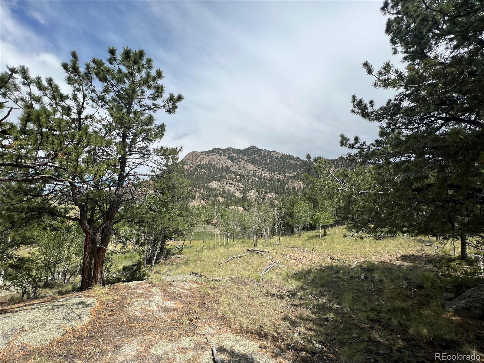 338 Topaz Road Lake George, CO 80827 - Photo 10 of 15 Gallery Image 10