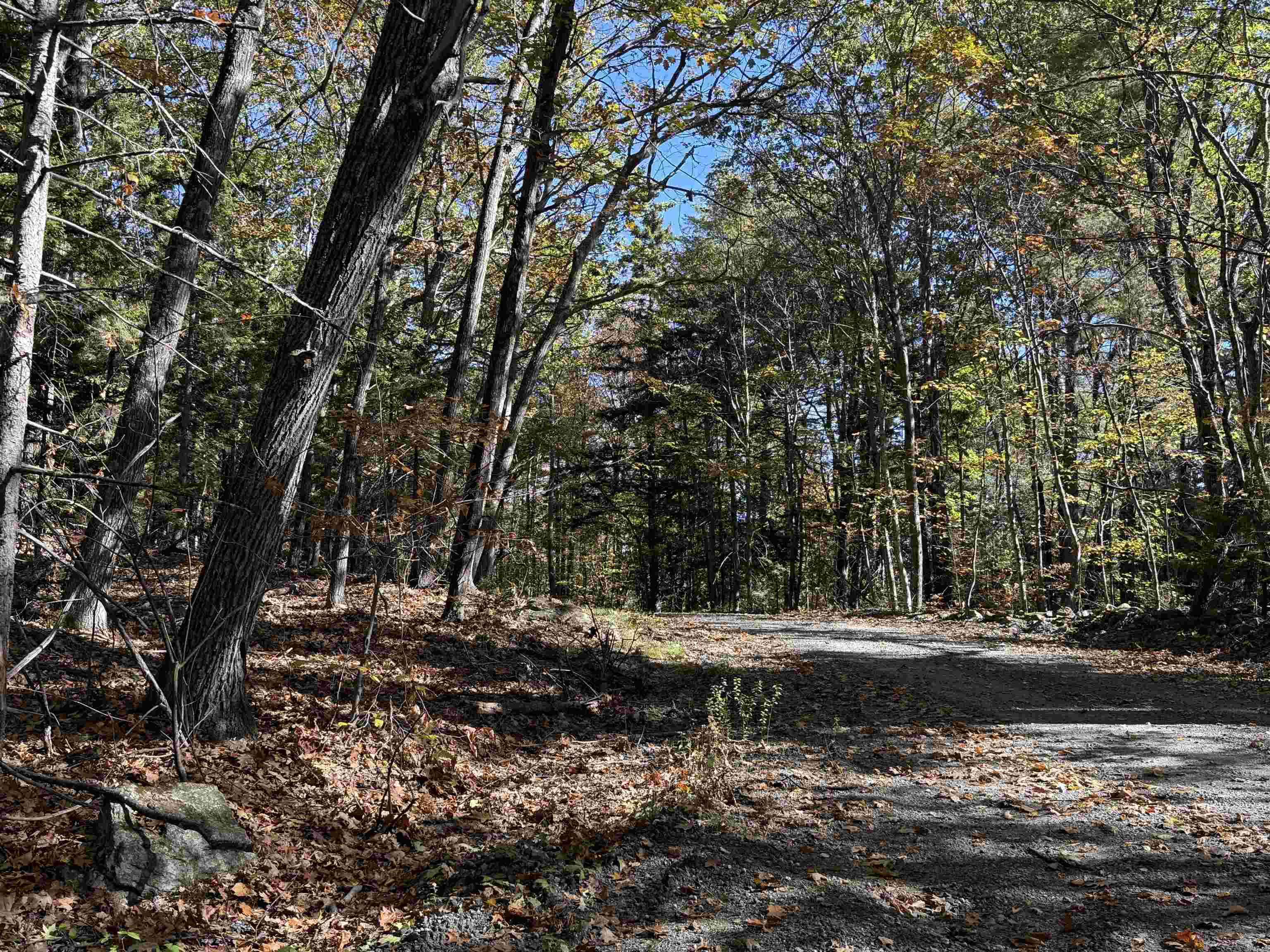 529 Finkel Road Wardsboro, VT 05355 - Photo 43 of 46