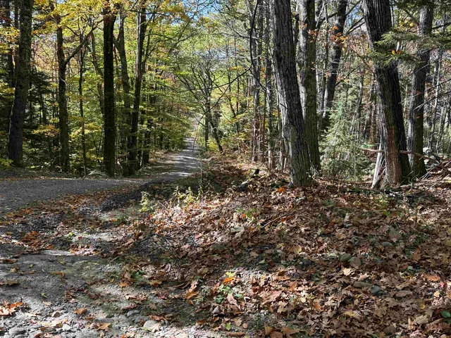 $479,000 | 529 Finkel Road, Wardsboro, VT 05355