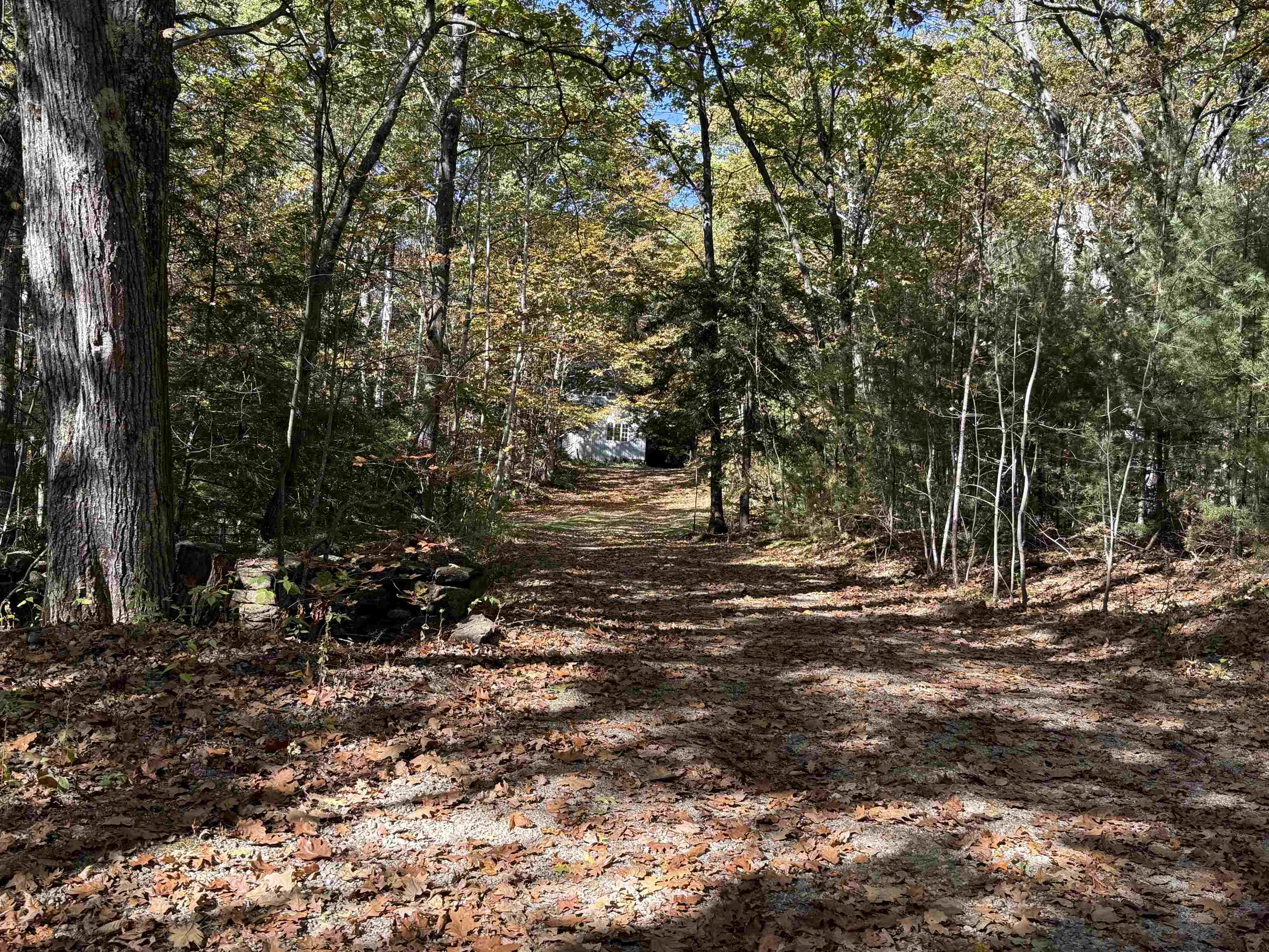 529 Finkel Road Wardsboro, VT 05355 - Photo 45 of 46