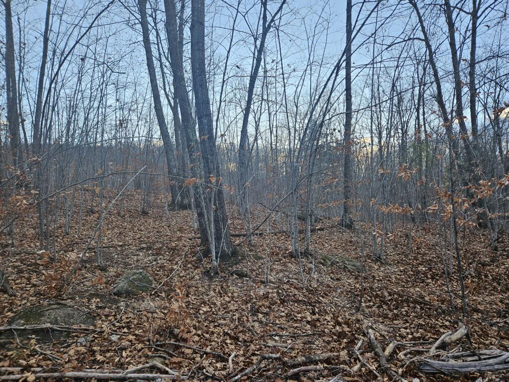 0 River Road Hiram, ME 04041 - Photo 24 of 30 wooded area