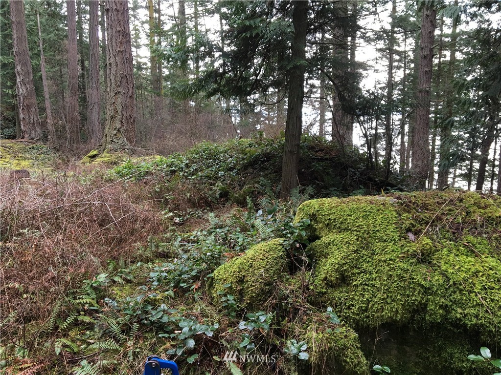 3084 Point Lawrence Road Orcas Island, WA 98279 - Photo 11 of 21 Gallery Image 11