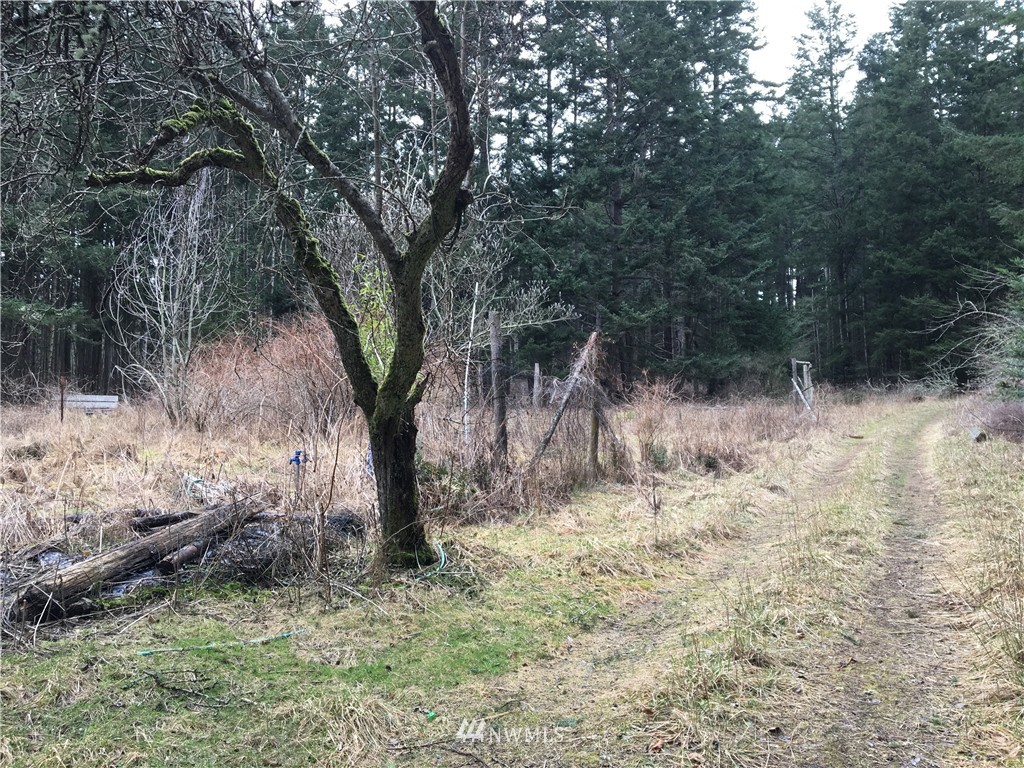3084 Point Lawrence Road Orcas Island, WA 98279 - Photo 12 of 21 Gallery Image 12