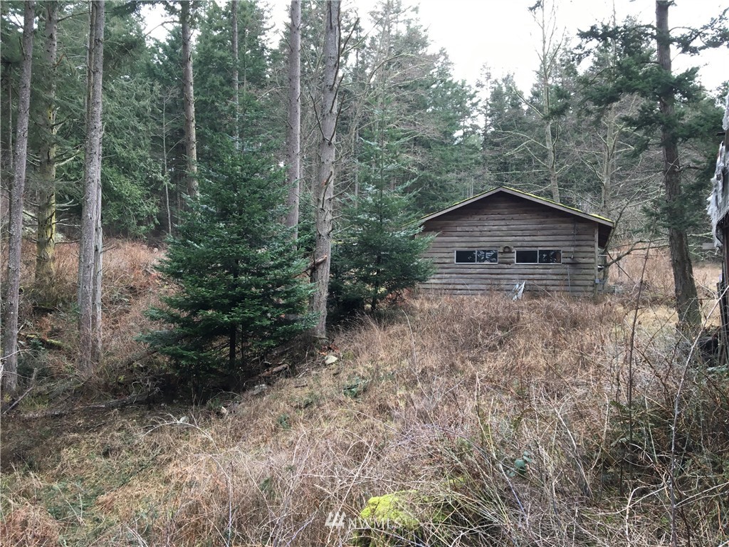 3084 Point Lawrence Road Orcas Island, WA 98279 - Photo 13 of 21 Gallery Image 13