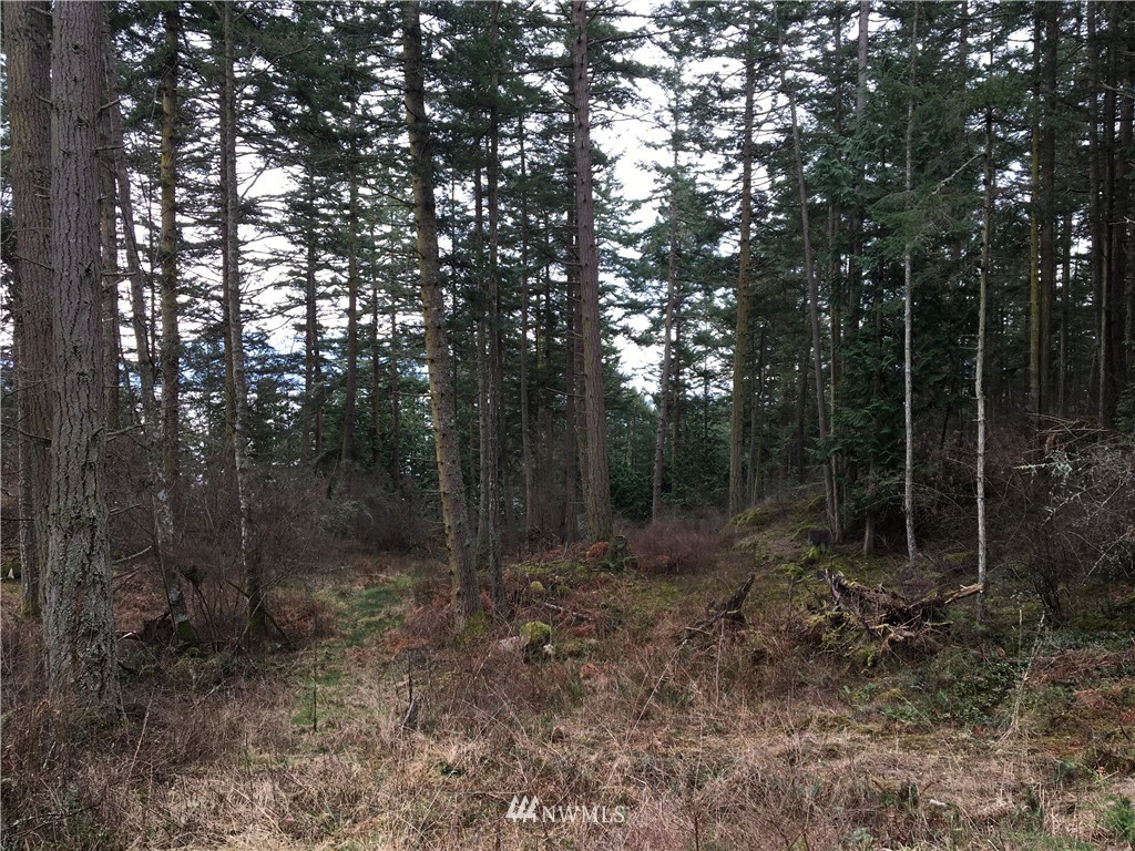 3084 Point Lawrence Road Orcas Island, WA 98279 - Photo 18 of 21 Gallery Image 18
