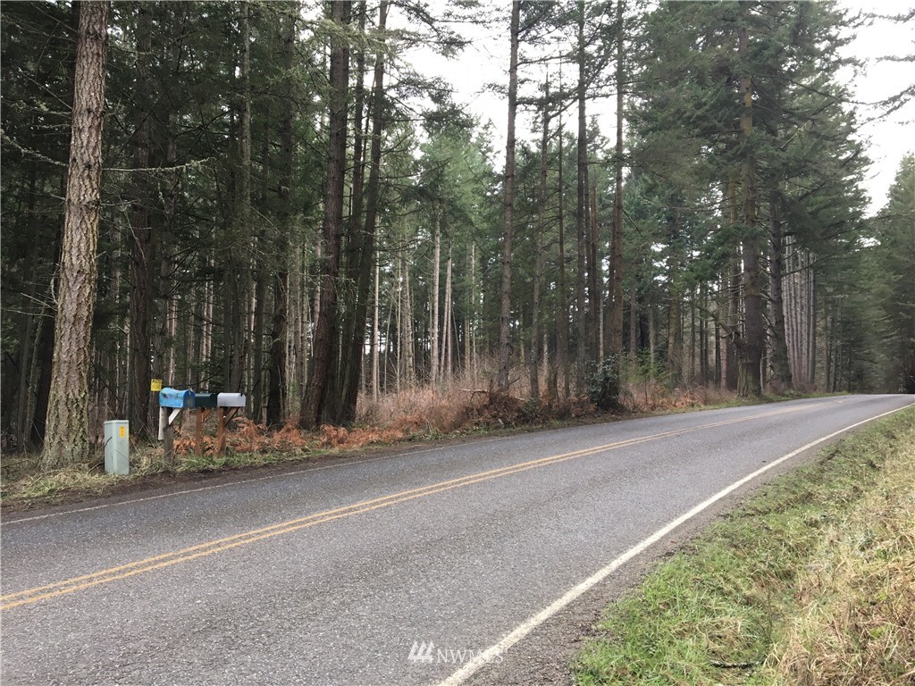3084 Point Lawrence Road Orcas Island, WA 98279 - Photo 19 of 21 Gallery Image 19