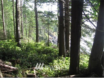 3084 Point Lawrence Road Orcas Island, WA 98279 - Photo 8 of 21 Gallery Image 8