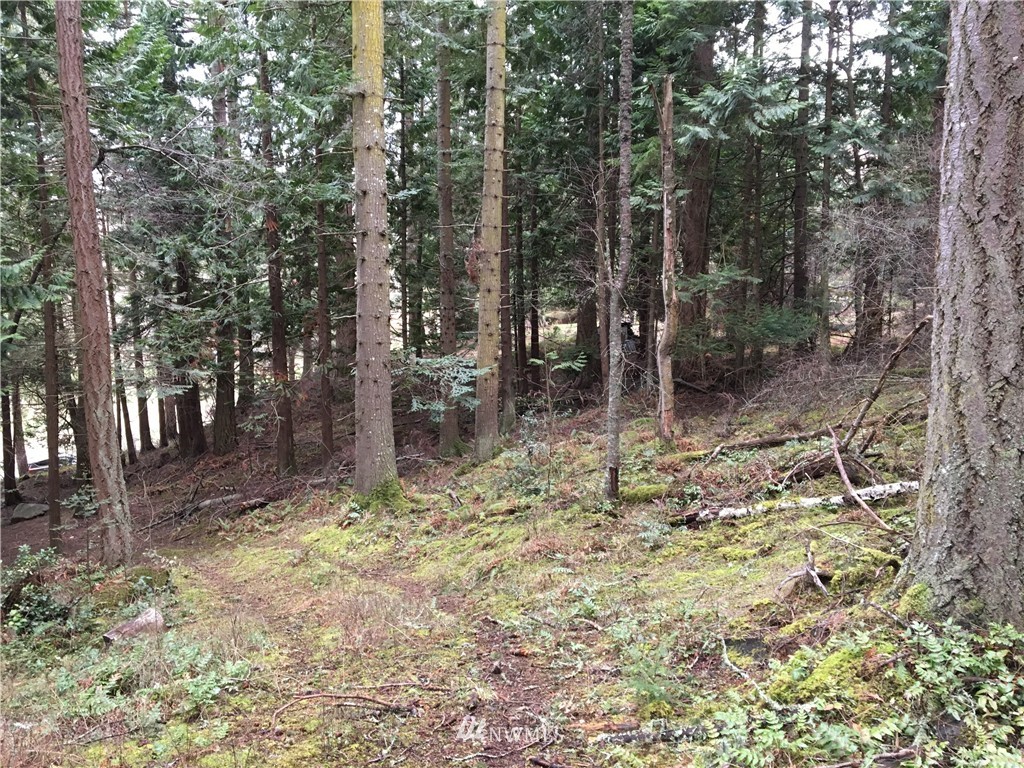 3084 Point Lawrence Road Orcas Island, WA 98279 - Photo 10 of 21 Gallery Image 10