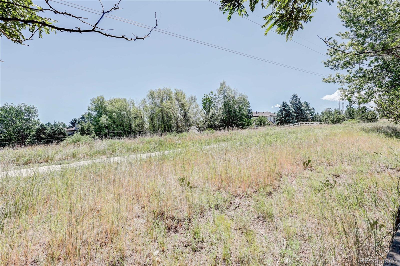 11176 Rodeo Circle Parker, CO 80138 - Photo 18 of 35