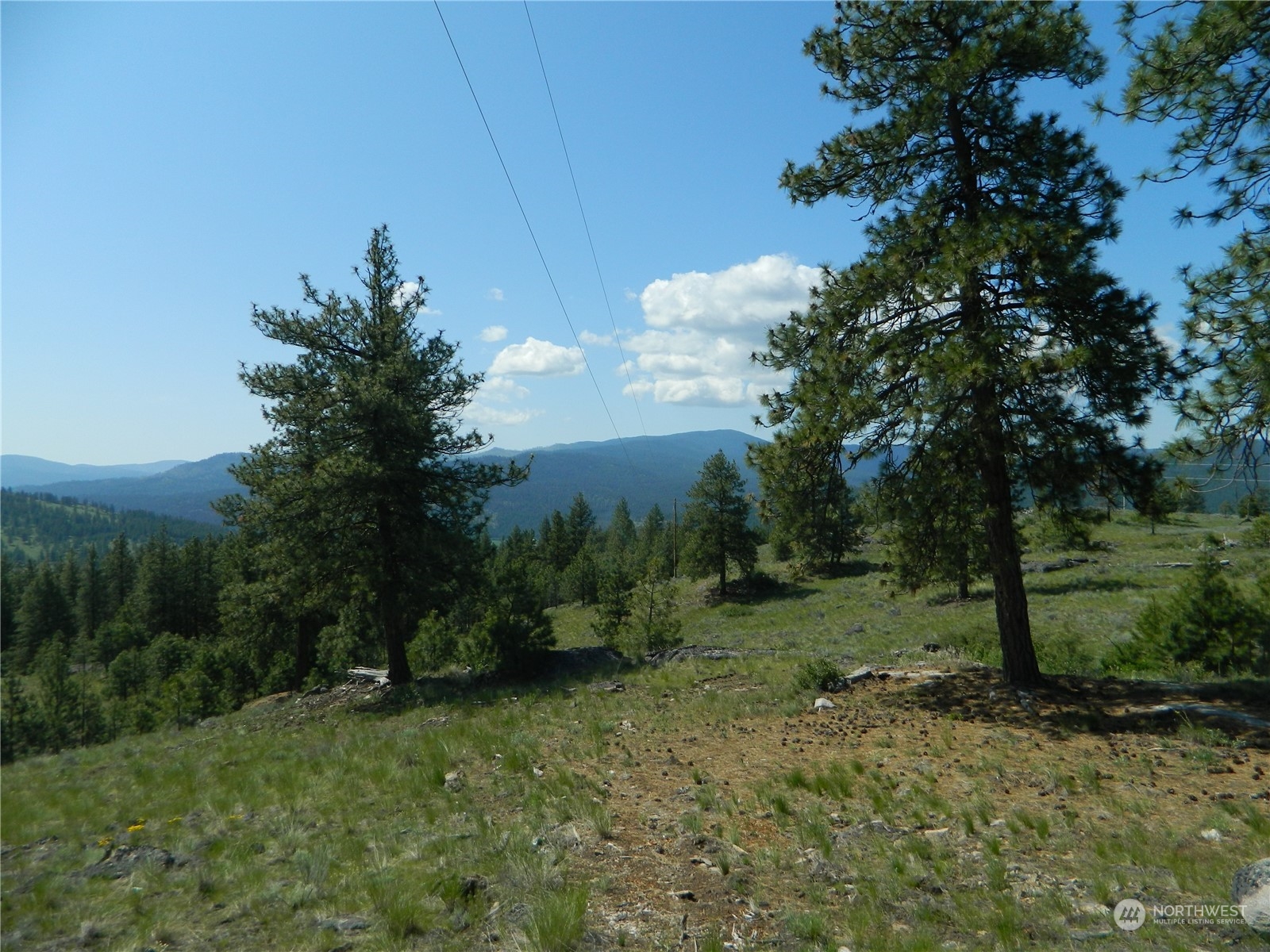 153 Neil Canyon Road Tonasket, WA 98855 - Photo 20 of 24 a view of a field