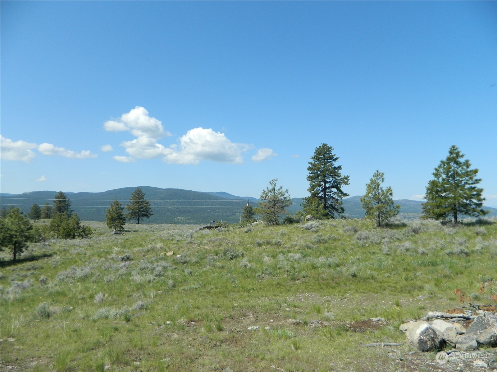 153 Neil Canyon Road Tonasket, WA 98855 - Photo 21 of 24 a view of a big yard with large trees