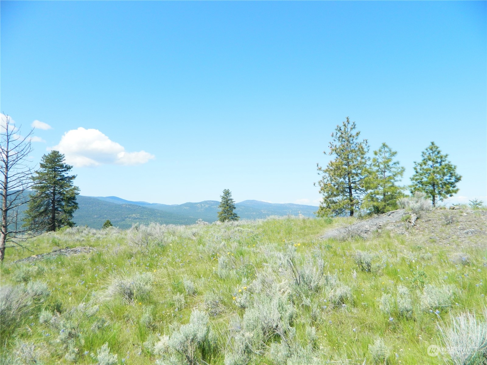 153 Neil Canyon Road Tonasket, WA 98855 - Photo 4 of 24 a view of a big yard