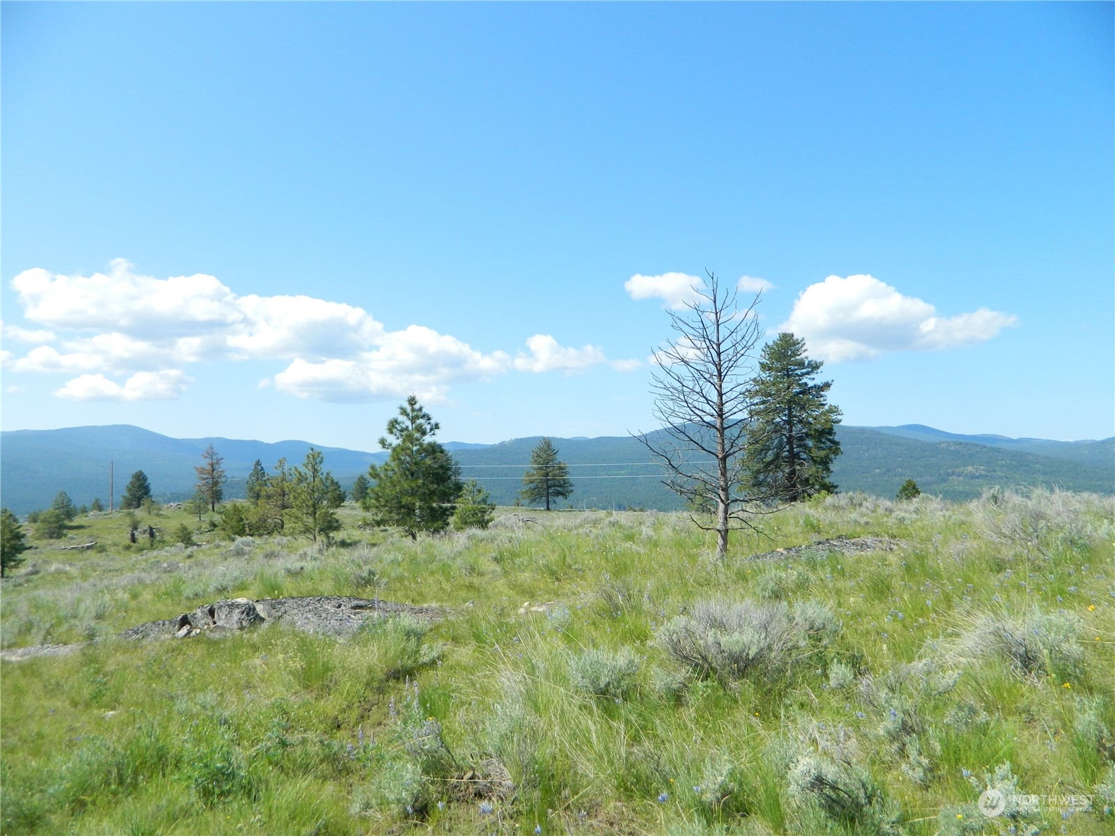 153 Neil Canyon Road Tonasket, WA 98855 - Photo 5 of 24 a view of a big yard with a house