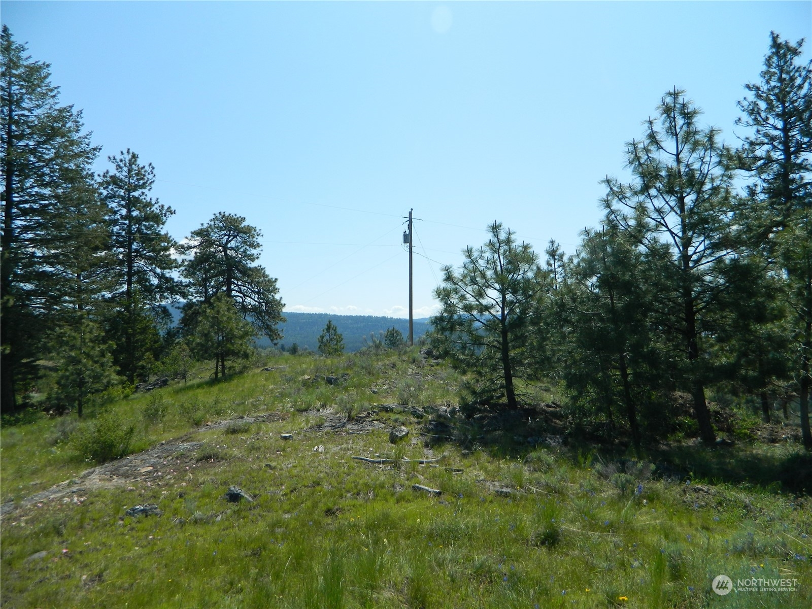153 Neil Canyon Road Tonasket, WA 98855 - Photo 7 of 24 a view of a green field with lots of bushes