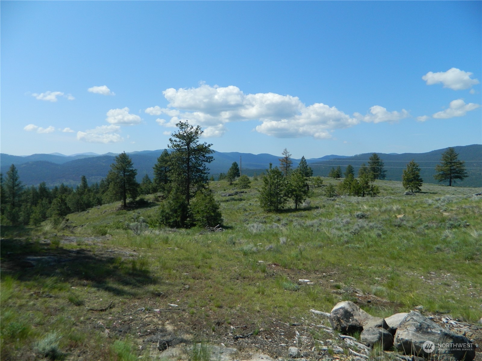 153 Neil Canyon Road Tonasket, WA 98855 - Photo 8 of 24 a view of a field of grass and trees