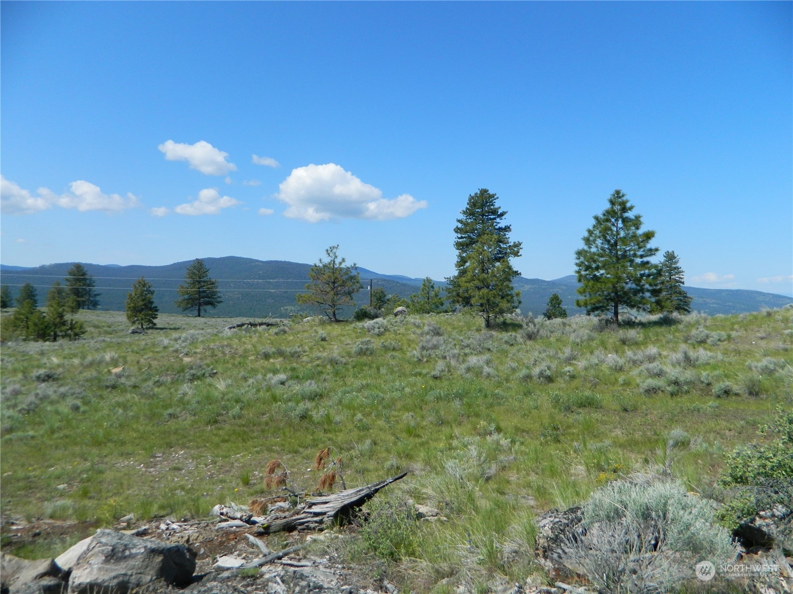 153 Neil Canyon Road Tonasket, WA 98855 - Photo 9 of 24 a view of a big yard