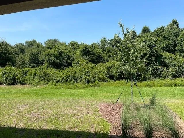 a view of a field with a tree in the background