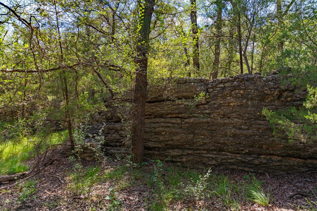 Tbd Cr 224 Brookesmith, TX 76827 - Photo 16 of 25
