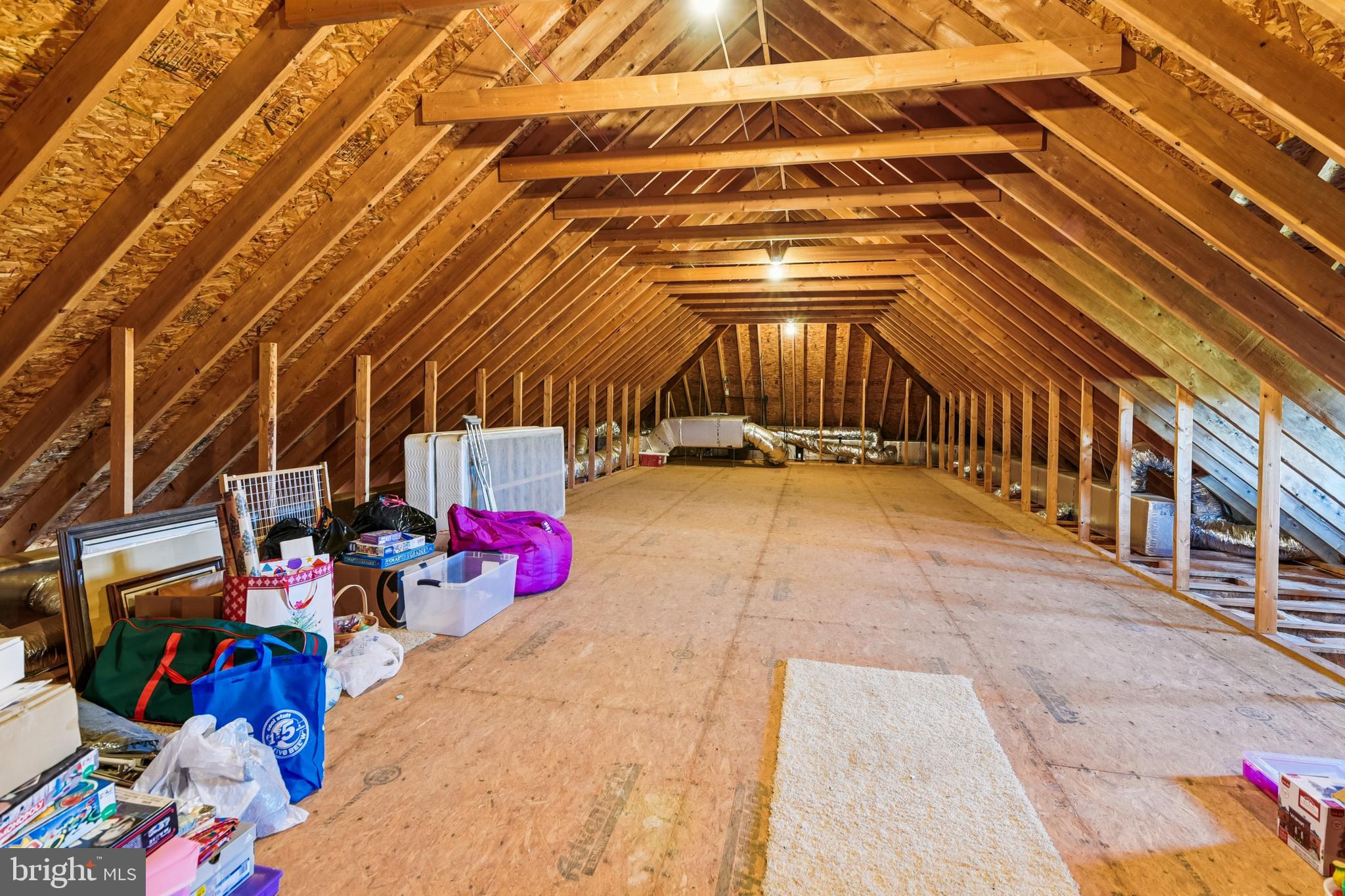 4916 Old Mill Branch Road Salisbury, MD 21801 - Photo 39 of 39 Attic