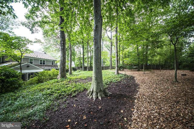 8006 Greentree Road Bethesda, MD 20817 - Photo 30 of 30 Exterior (Rear)