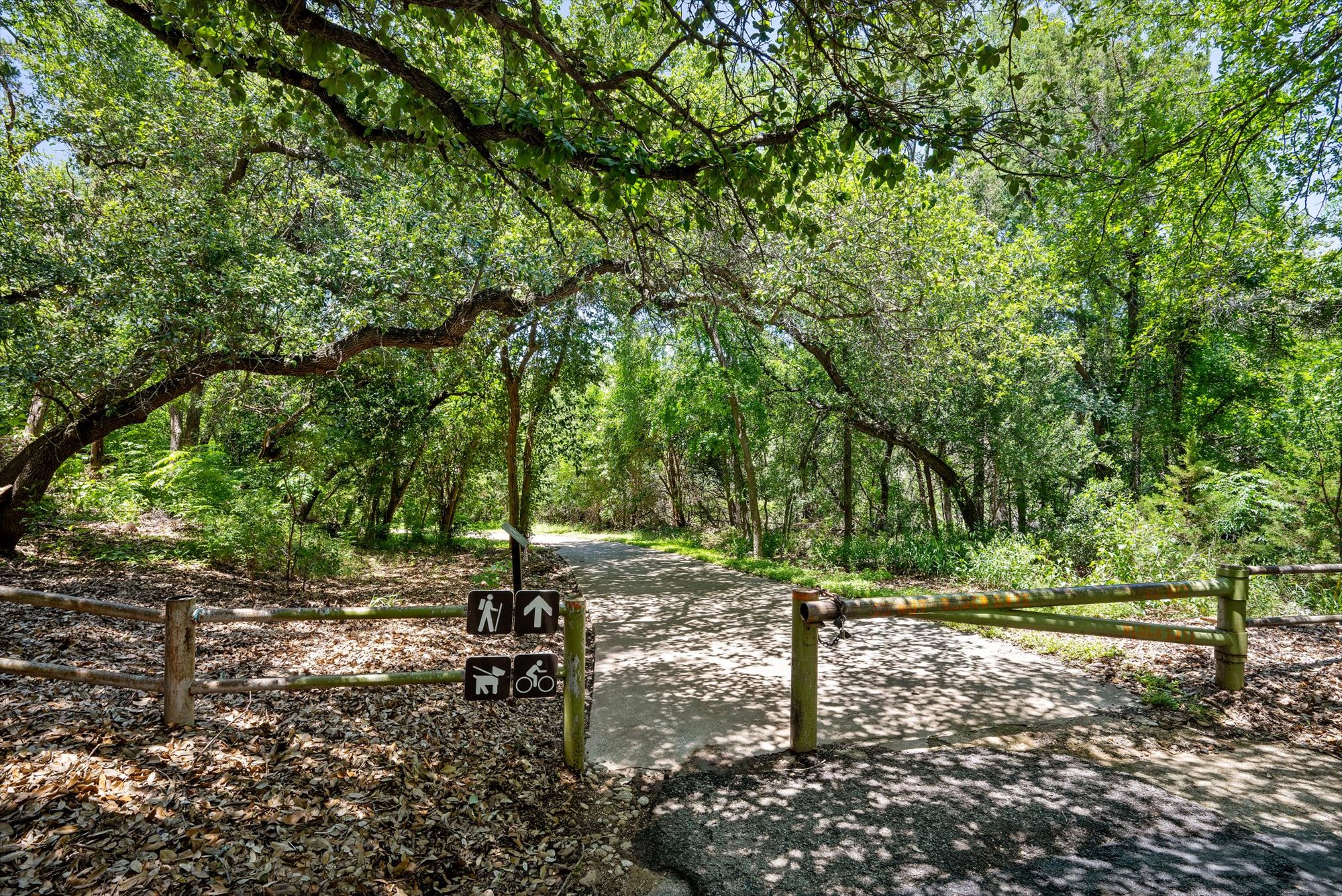 109 Woodland Road Georgetown, TX 78628 - Photo 39 of 40 A tranquil path winds through a verdant, mature treeline, inviting leisurely strolls.