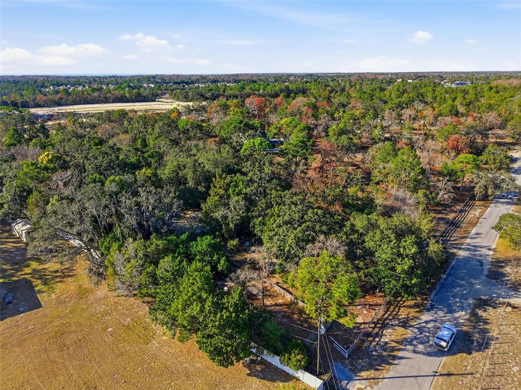 18117 Branch Road Hudson, FL 34667 - Photo 14 of 22 a view of outdoor space and yard