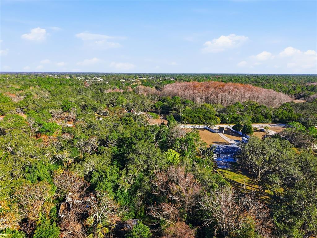 18117 Branch Road Hudson, FL 34667 - Photo 15 of 22 a view of a city with lush green forest