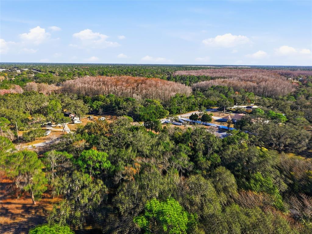 18117 Branch Road Hudson, FL 34667 - Photo 16 of 22