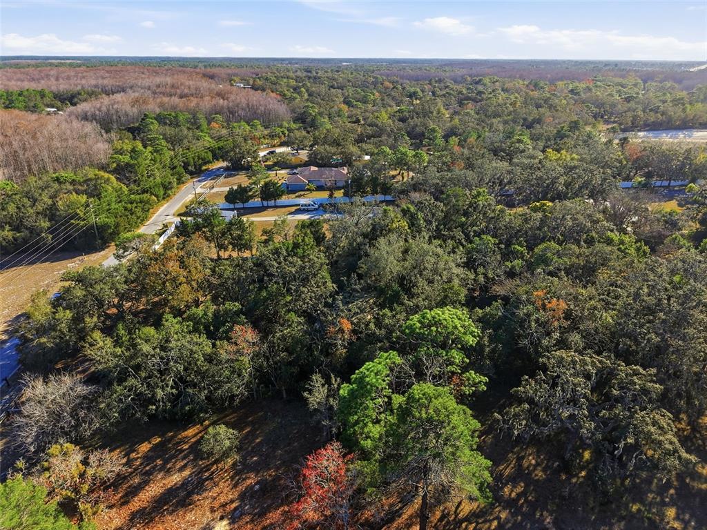 18117 Branch Road Hudson, FL 34667 - Photo 17 of 22 a view of a city with lush green forest