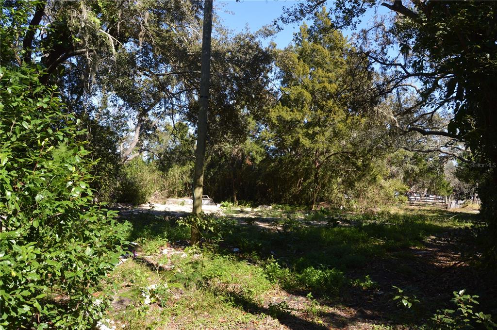 18117 Branch Road Hudson, FL 34667 - Photo 18 of 22 a view of a green yard