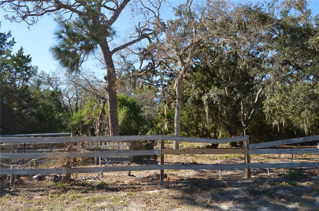 18117 Branch Road Hudson, FL 34667 - Photo 3 of 22 a view of a street with benches
