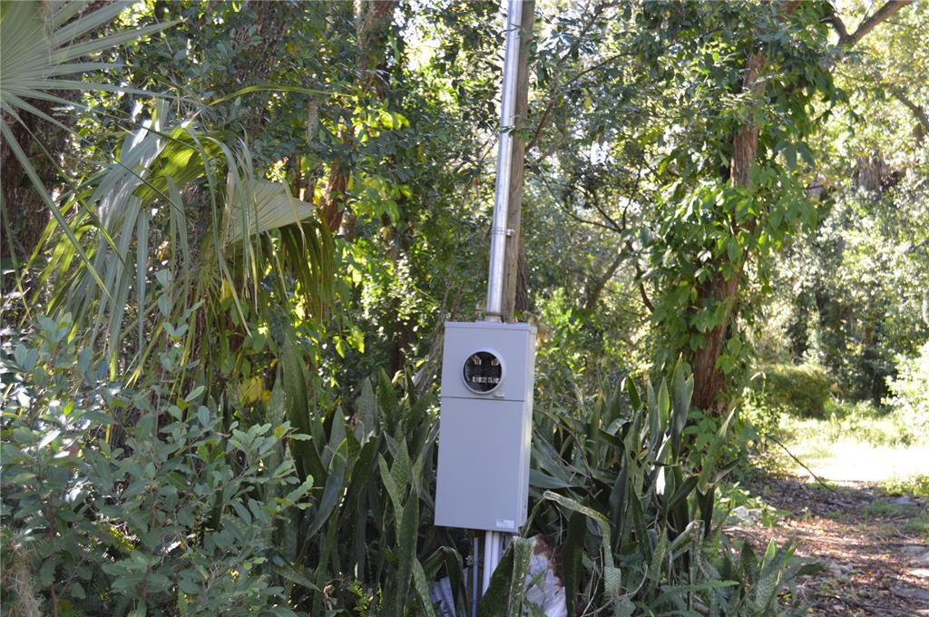 18117 Branch Road Hudson, FL 34667 - Photo 4 of 22 view of a house with a yard and large trees