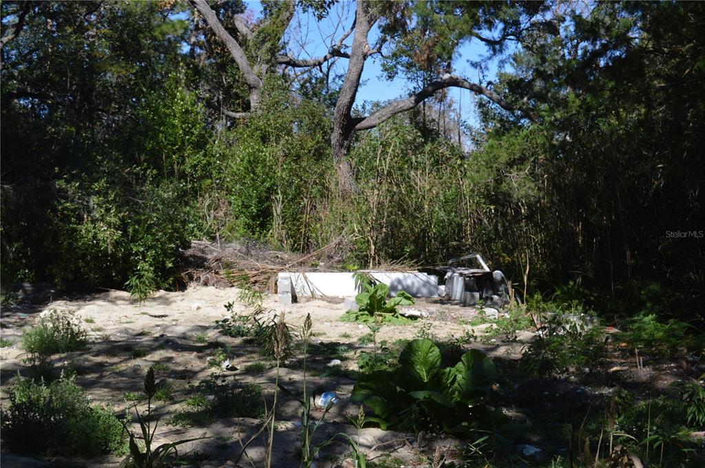 18117 Branch Road Hudson, FL 34667 - Photo 5 of 22 a view of mountains in a yard