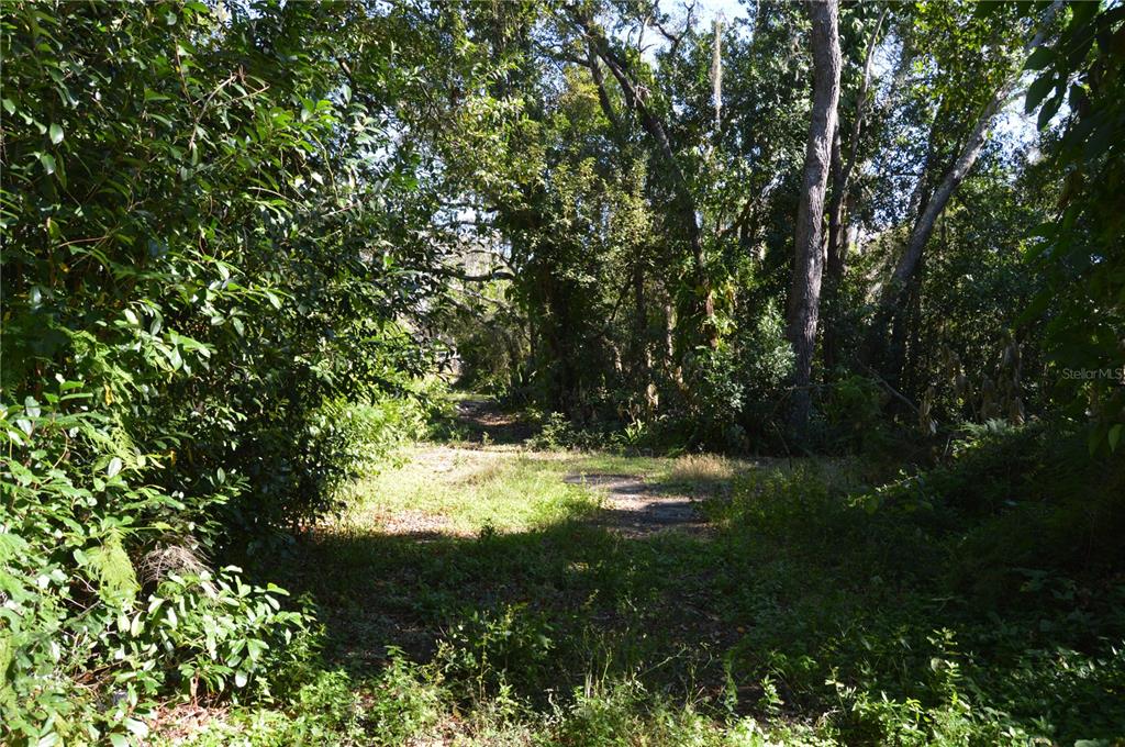 18117 Branch Road Hudson, FL 34667 - Photo 6 of 22 a view of a yard