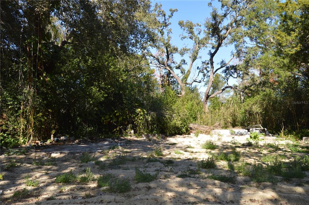 18117 Branch Road Hudson, FL 34667 - Photo 7 of 22 a view of snow on a field