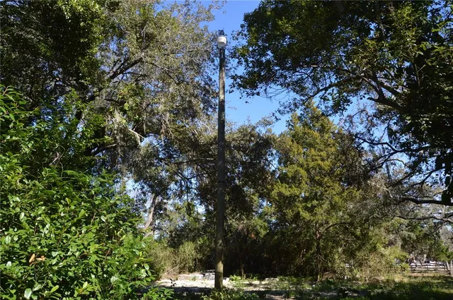 a view of outdoor space and a yard