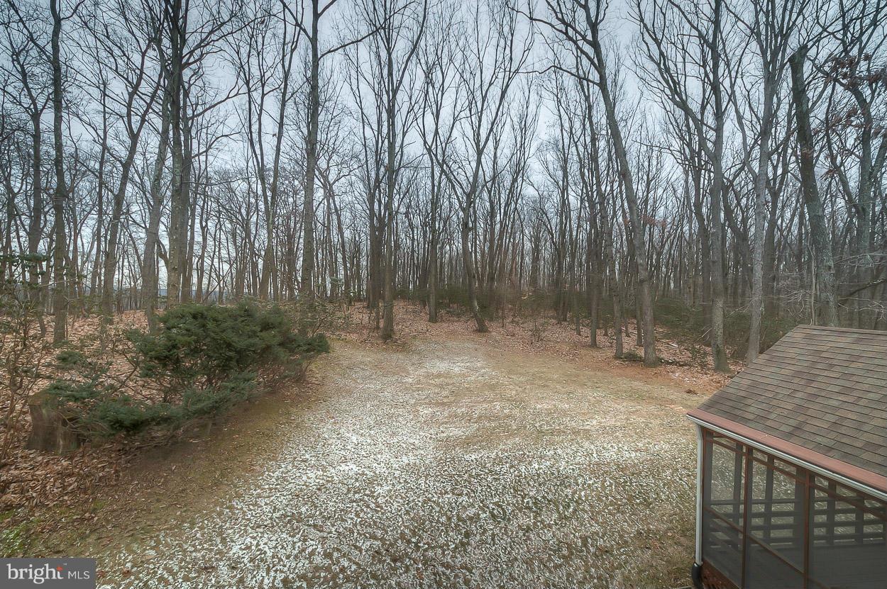15710 Yeoho Road Sparks, MD 21152 - Photo 30 of 30 a backyard of a house with lots of green space