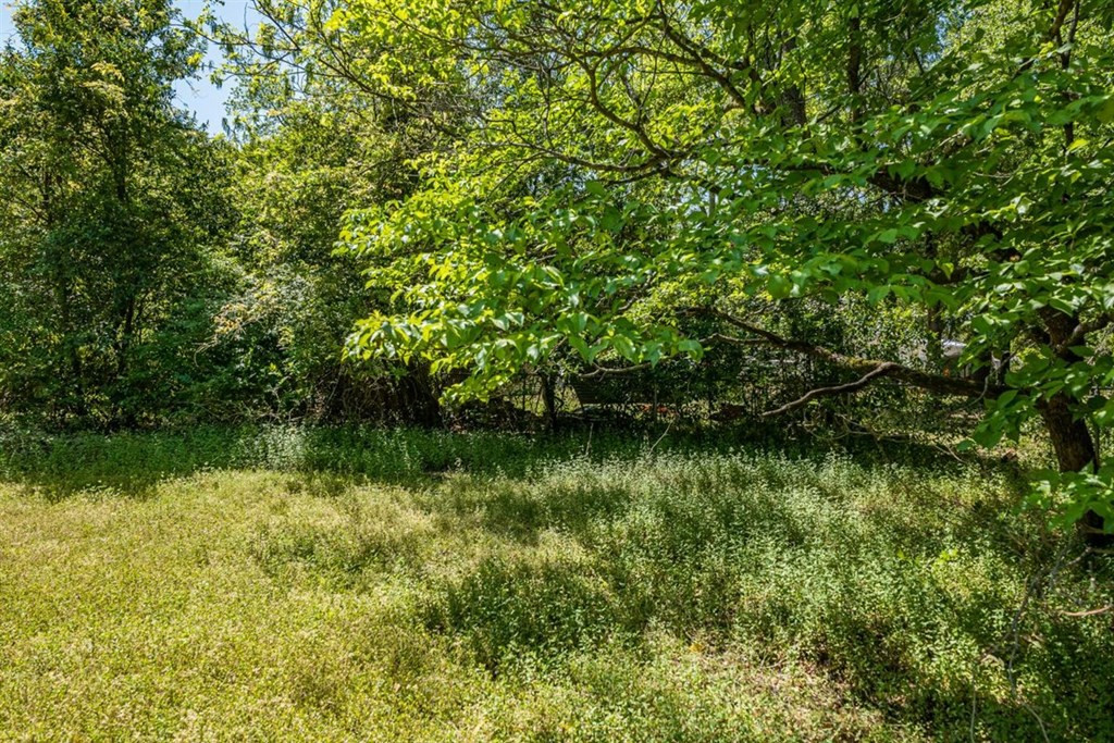 5487 Springfield Road Williston, SC 29853 - Photo 35 of 36 Gallery Image 35